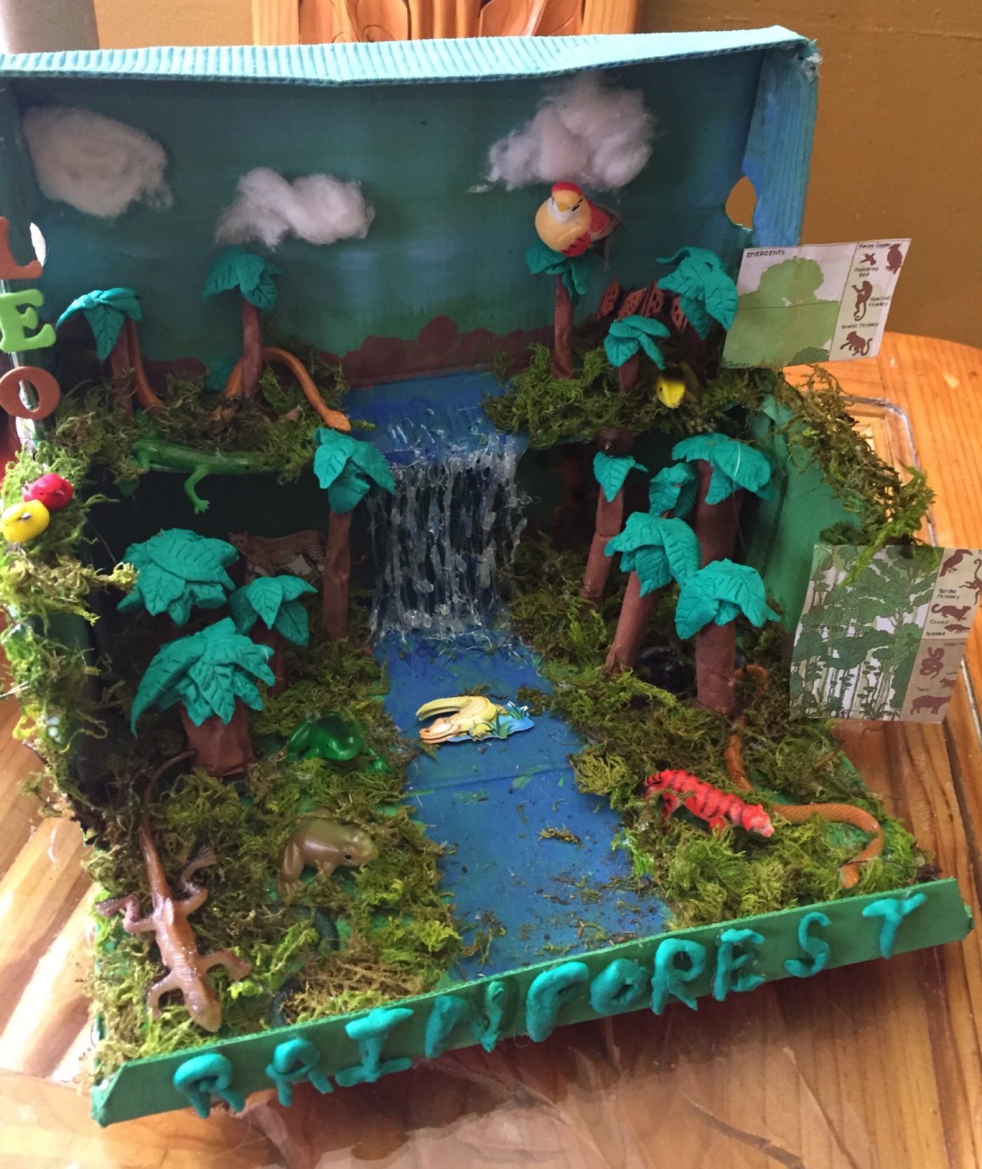 Rainforest shoe box pre-school project! – Crafty Connie